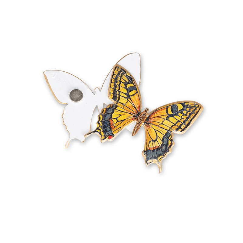 Butterfly Two-Sided Magnet