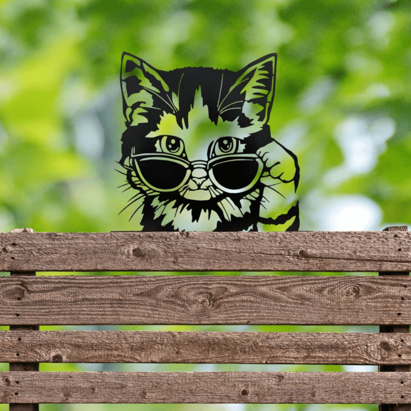 Cool Kitten (more coming soon.)