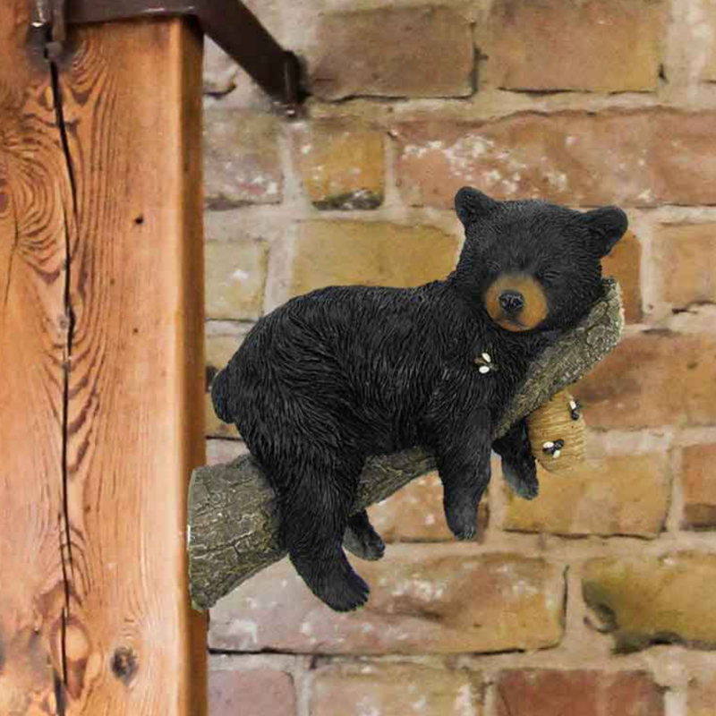 Napping Bear
