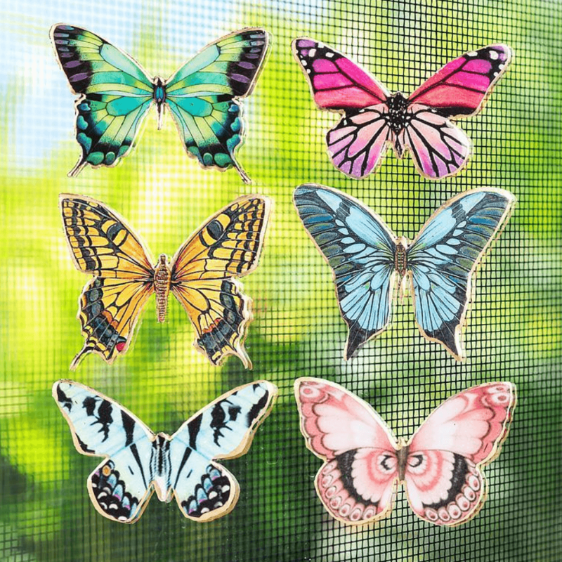 Butterfly Two-Sided Magnet