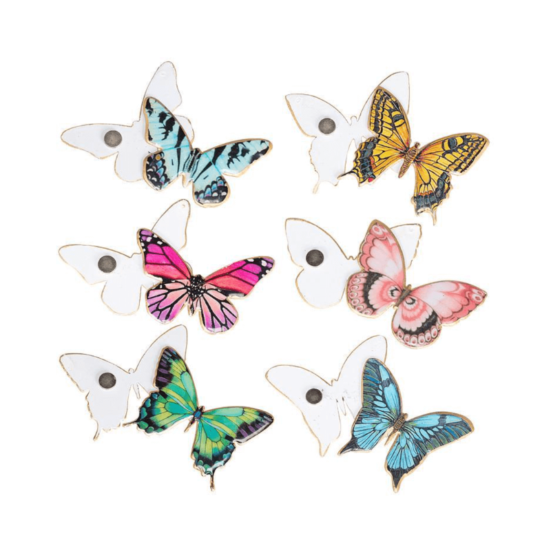 Butterfly Two-Sided Magnet