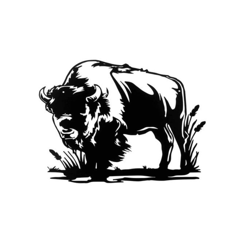 Bison