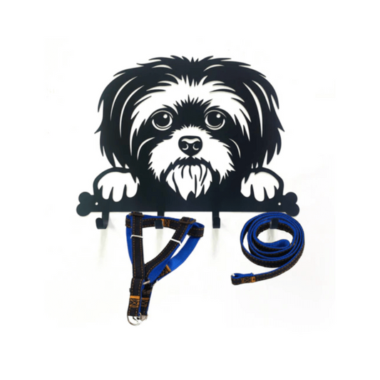 Shih Tzu (more coming soon.)