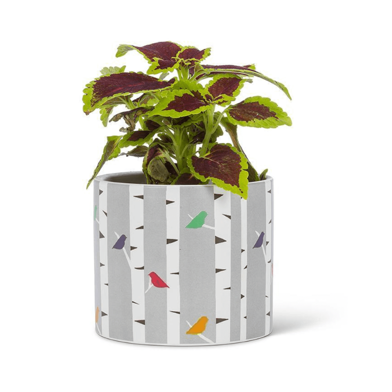 Colourful Birds Planter Small