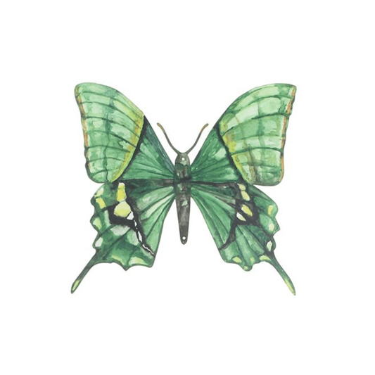 Butterfly (Green) Wall Art