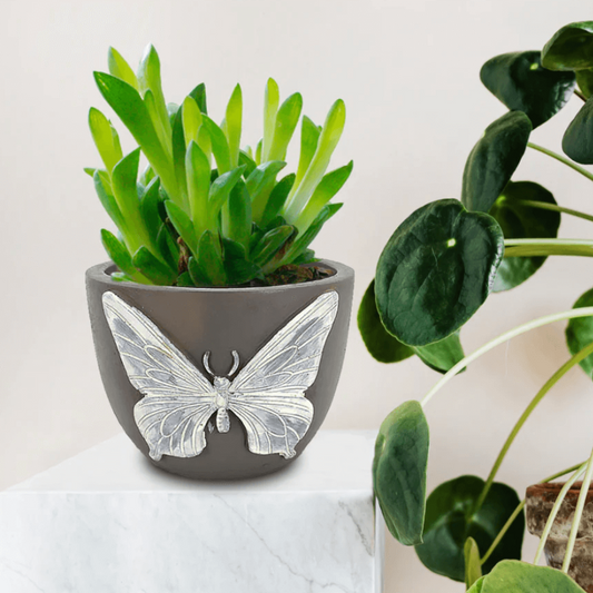 Butterfly Pot
