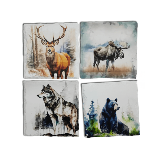 Wildlife Coasters