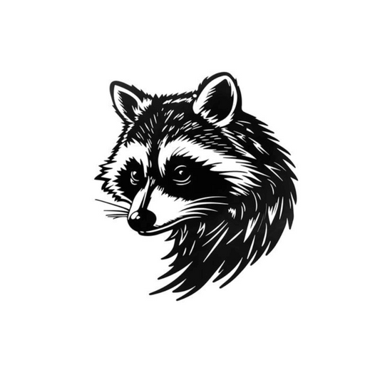 Racoon Head #2